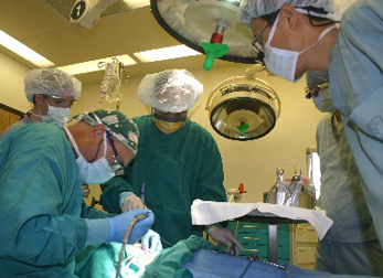 MBBS course in germany